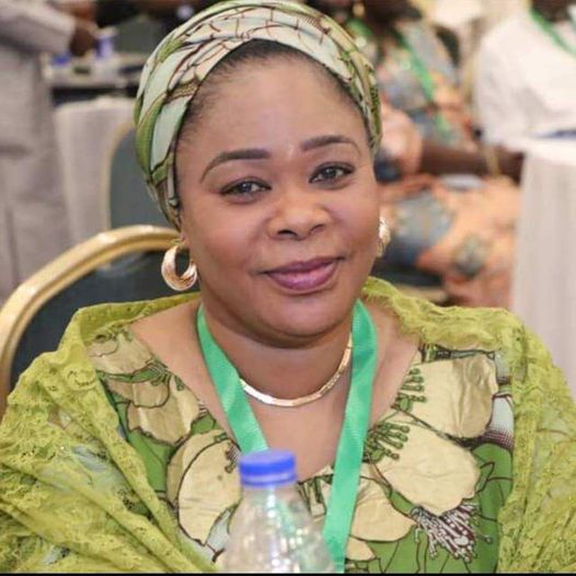 Governor Namadi