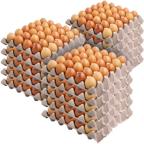 crate of eggs,