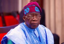 Adopt Asset-Based Approach For Economic Growth, Treasurers Urge Government Tinubu
