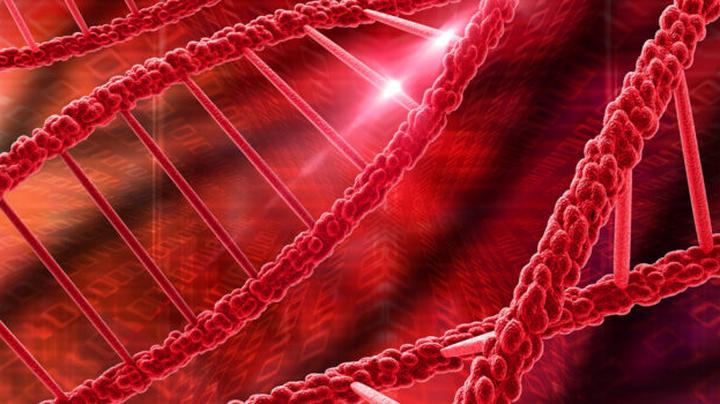 Key Information About Individuals with Genotype AA