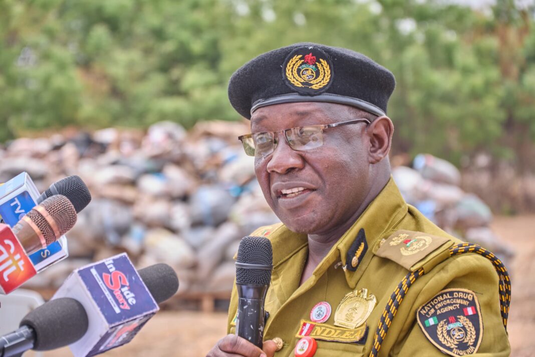 “NDLEA Destroys 25 Tons of Illicit Drugs in Kogi: A Major Blow to Drug Trafficking”